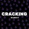 CraRTA
